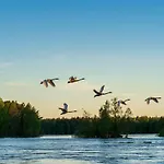 Laawu Kultaa *